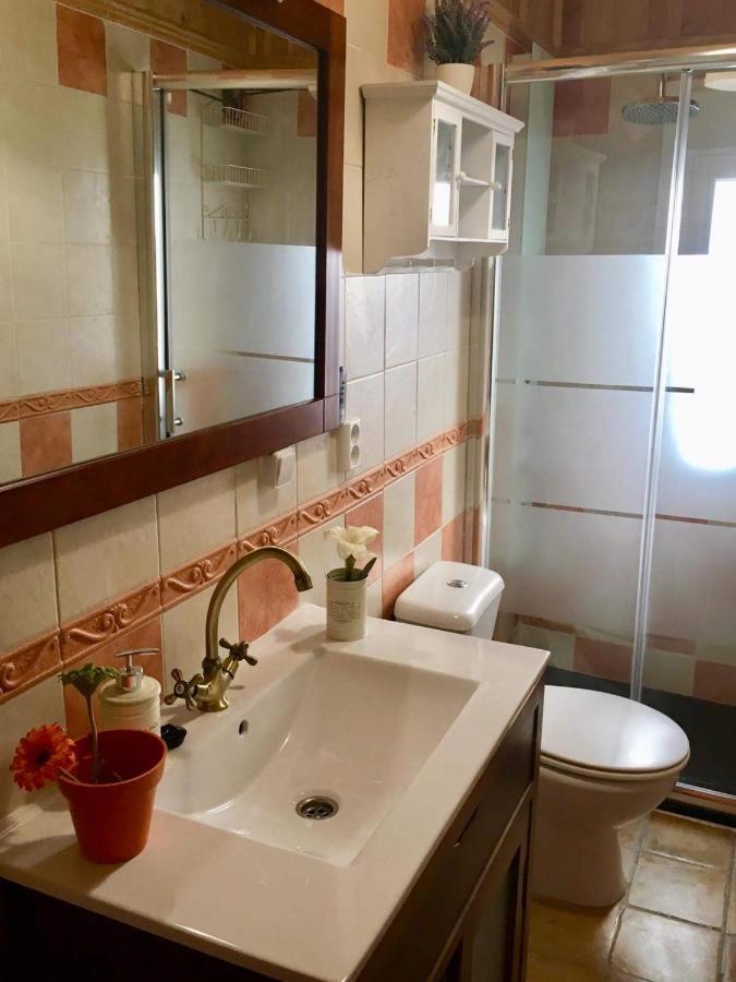 Apartamento La Alcancia 托萊多 外观 照片